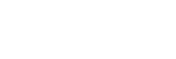 THE NEW  GENERATION OF SHIPPING SERVICES