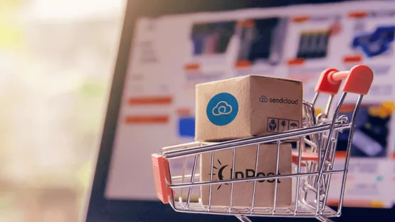 LA SFIDA DELL'E-COMMERCE