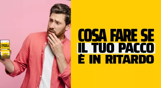Persona controlla il tracking di una spedizione sul sito InPost da smartphone. 
